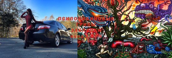 Альфа ПВП Ростов