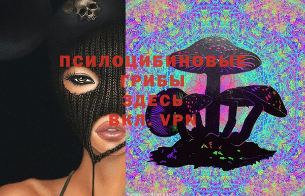 Альфа ПВП Ростов