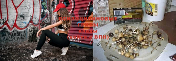 кокс Россошь
