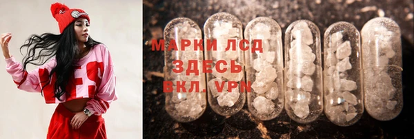 Альфа ПВП Ростов