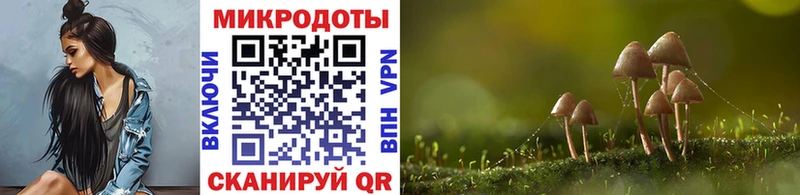 дарнет шоп  ОМГ ОМГ   Галлюциногенные грибы Cubensis  Феодосия 